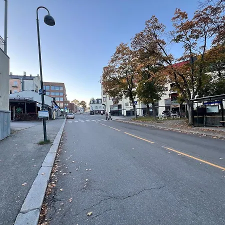 3- Cozy, Newly Renovated With An Alcove Apartament Gjøvik